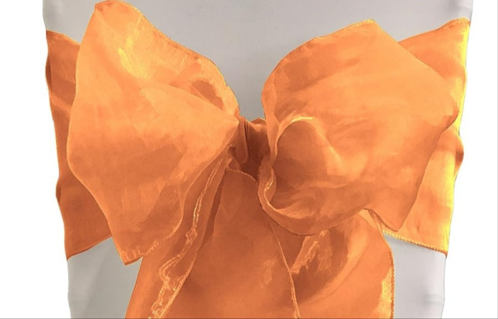 Organza Chair Sashes